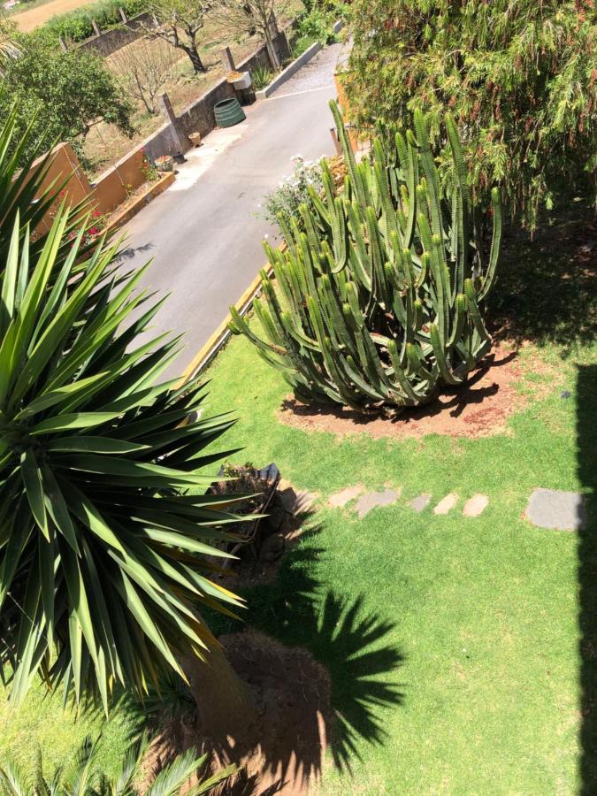Apartamento En La Laguna La Laguna  Exterior foto